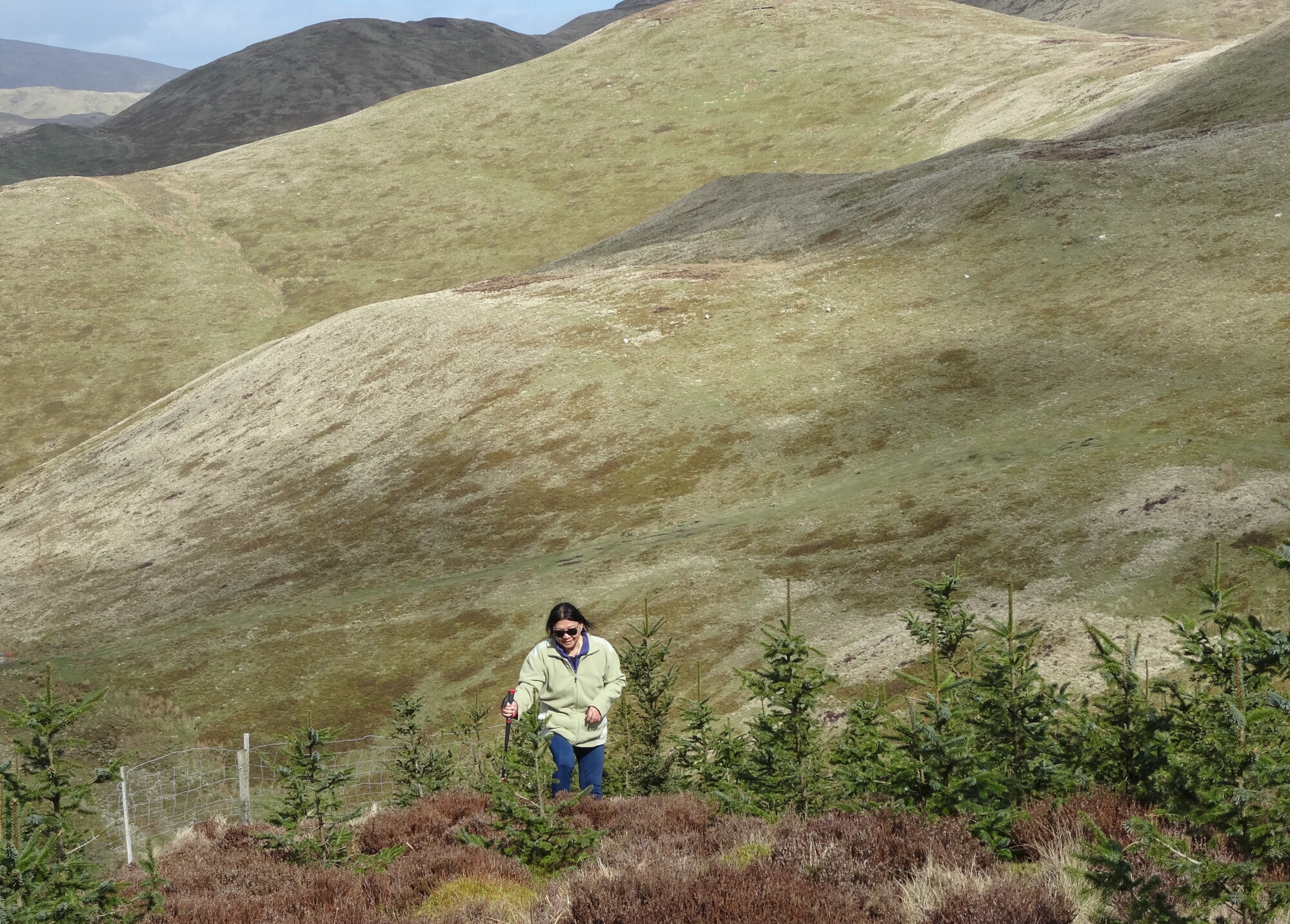 RachelSeabrook.net | Wild Walking | Ponterwyd and Pen Dihewyd | pic23